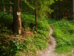 2013-07-20_Regina-F-Rau_Kochel-Rabenkopf (566).JPG
